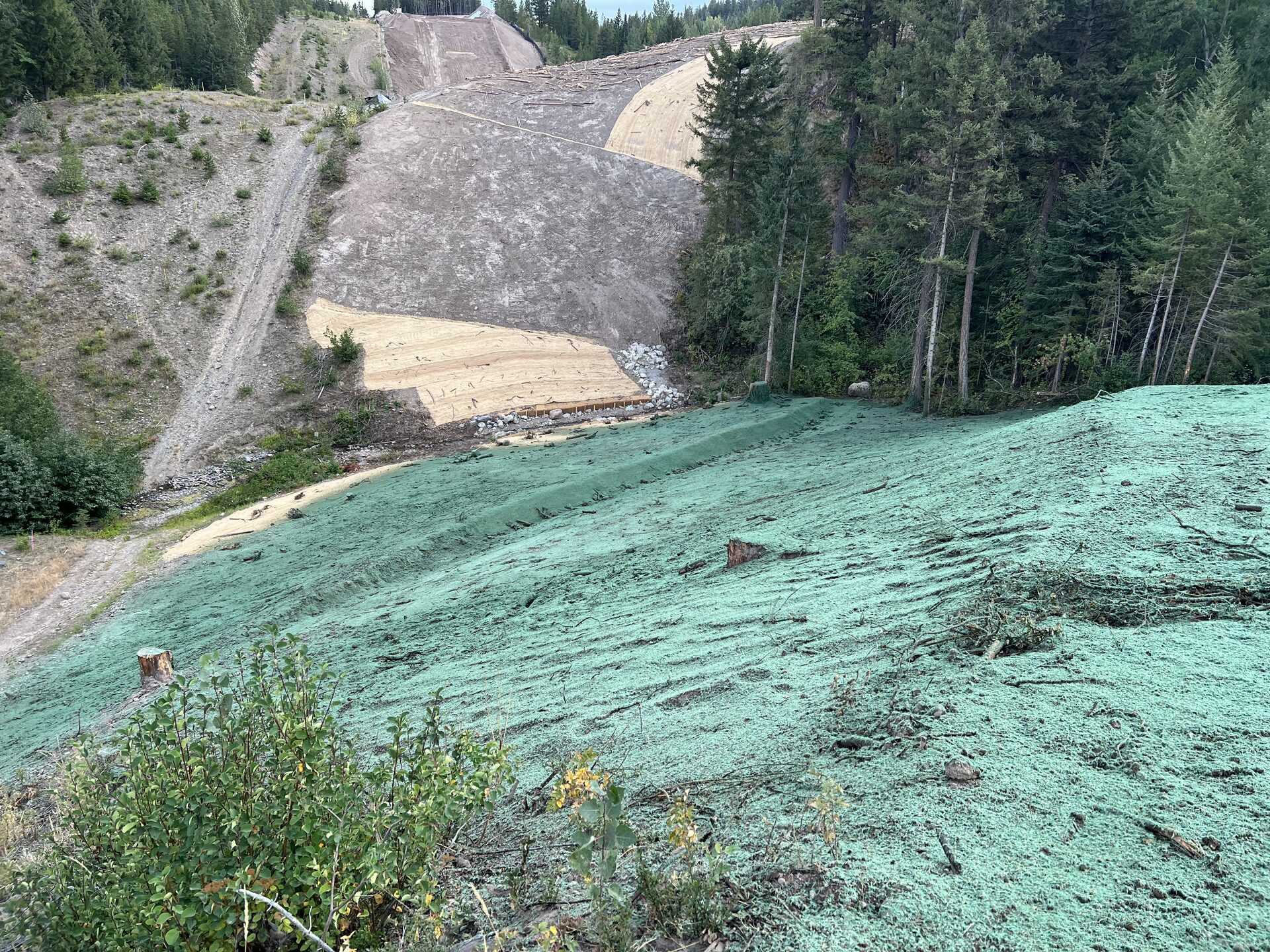 Wide hydroseeded slopes greening up below an erosion-control blanketed grade in mountain terrain, BC