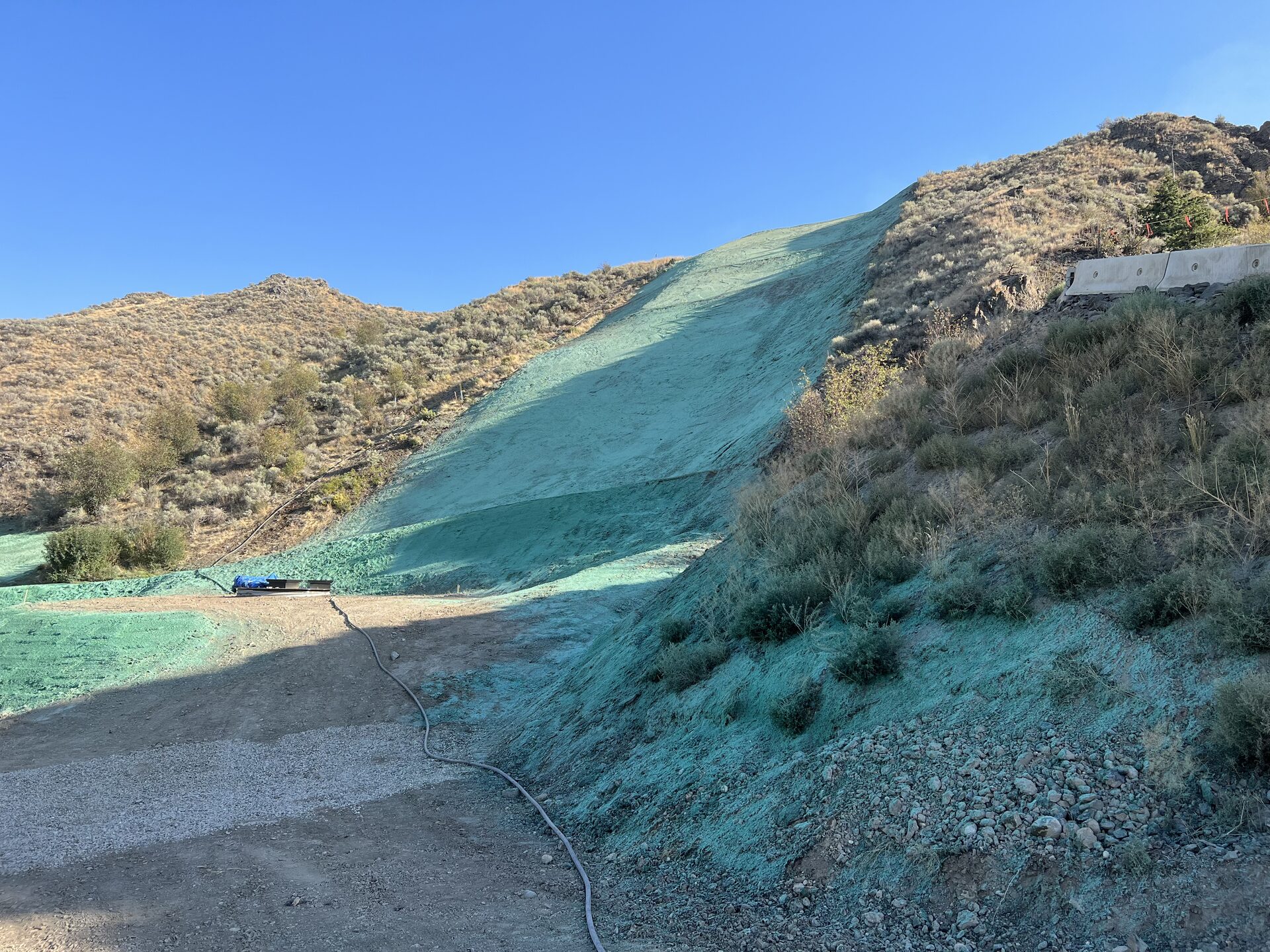 Hydroseeded hillside taking hold under open sky in dry Interior BC terrain