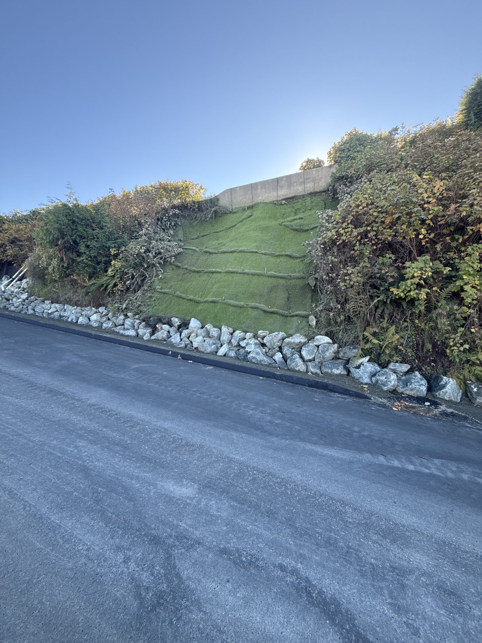 Hydroseeded roadside slope stabilized with straw wattles and rock toe protection